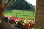 Les  Mirabelles